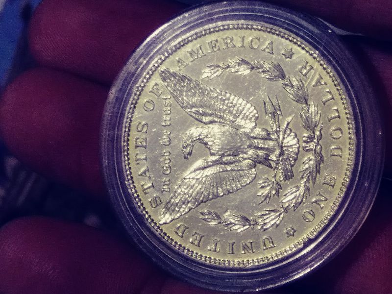 1886-Morgan-Grading-Guess